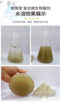 土傳病害的綠色克星 復合微生物菌劑與生物有機肥的創(chuàng)新研發(fā)與應用