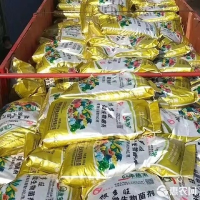 創(chuàng)新生物有機肥料研發(fā) 高活性微生物菌劑“果蔬寶”與“根多旺”引領綠色農(nóng)業(yè)新篇章