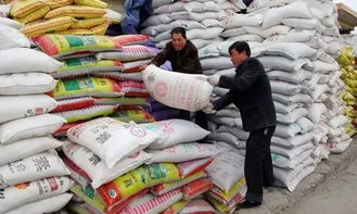肥價高企下的綠色出路 復合微生物肥料的研發與農業未來