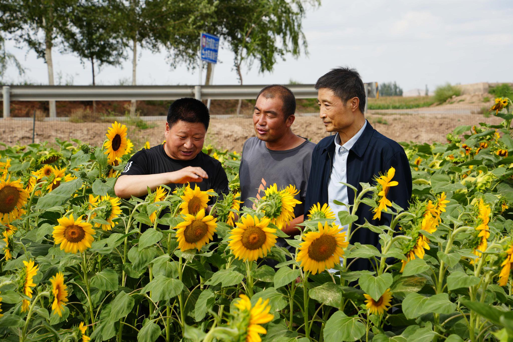 蘭州大學綠色材料研發中心主任劉偉生介紹,凹凸棒復合微生物肥料以及